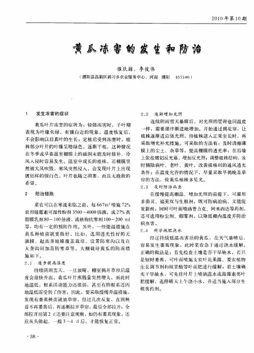 黄瓜冻害的发生和防治