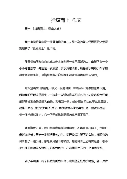 拾级而上 作文
