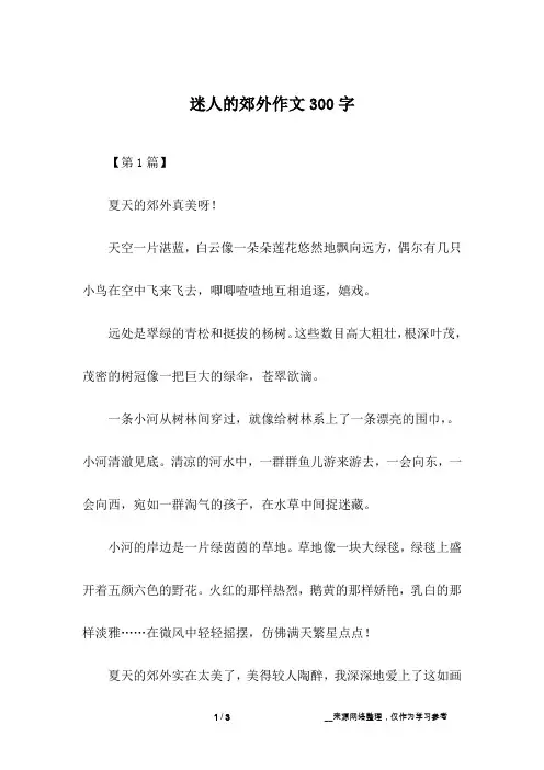 迷人的郊外作文300字