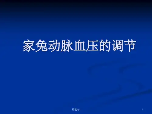 家兔动脉血压的调节ppt课件