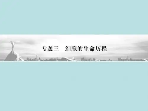 2012高三生物二轮复习课件：第1部分 专题3