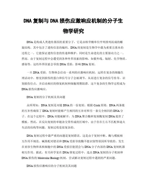 DNA复制与DNA损伤应激响应机制的分子生物学研究