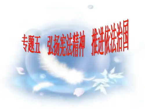 弘扬宪法精神依法治国 PPT课件