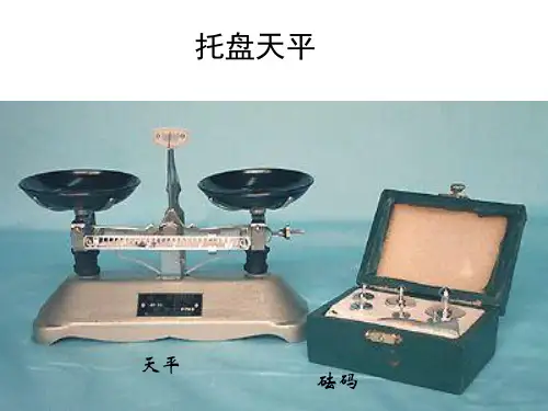 托盘天平的使用和读数演示教学