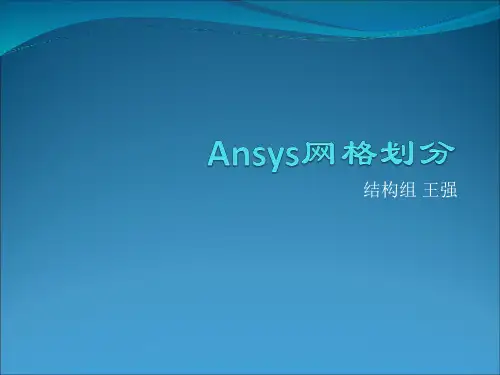 ansys workbench网格划分解析