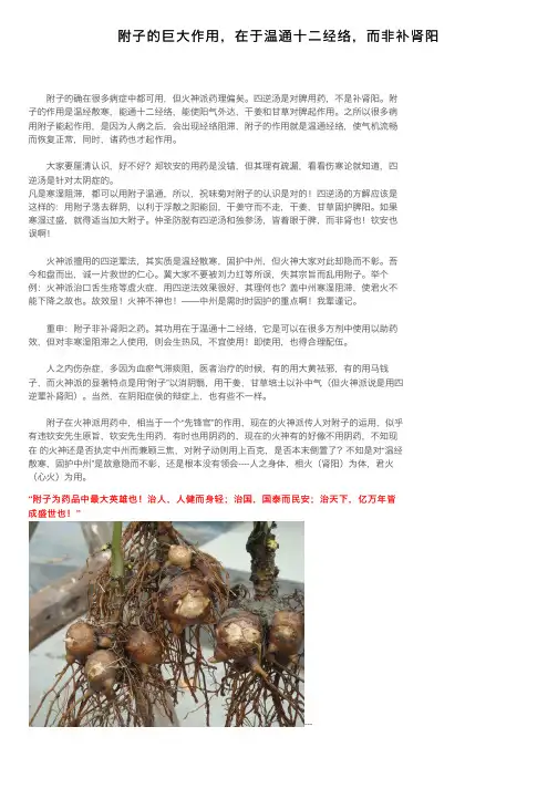 附子的巨大作用，在于温通十二经络，而非补肾阳