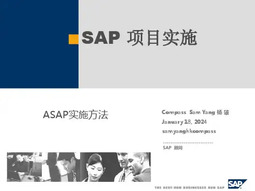 SAP项目实施方法PPT课件