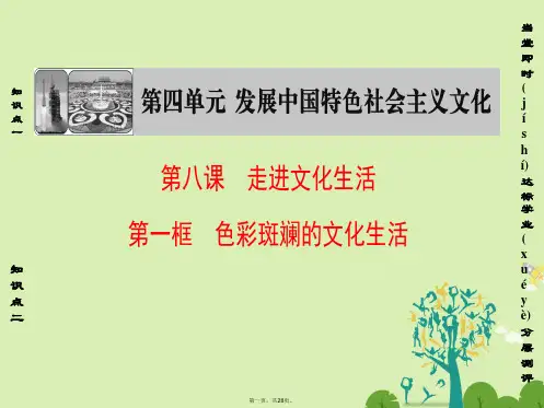 高中政治第4单元发展中国特色社会主义文化第8课走进文化生活第1框色彩斑斓的文化生活课件新人教版必修3