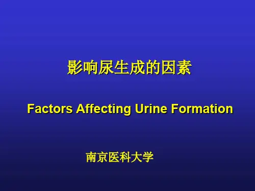 生理学实验PPT影响尿生成因素课件
