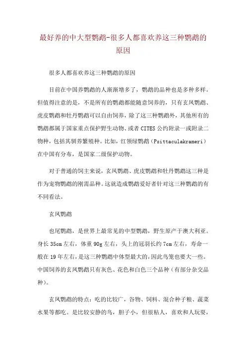 最好养的中大型鹦鹉-很多人都喜欢养这三种鹦鹉的原因