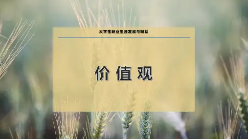 价 值 观