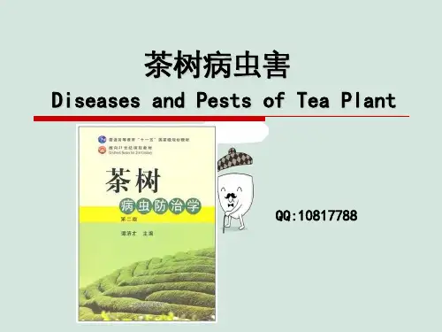 第一章农业昆虫学基础知识6学时-第三节