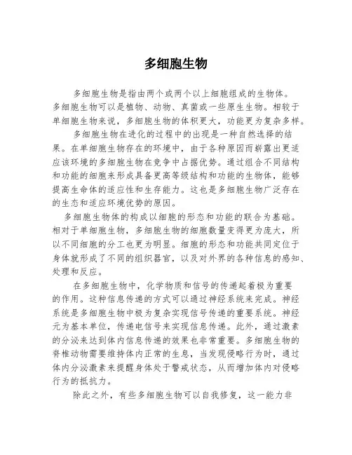 多细胞生物