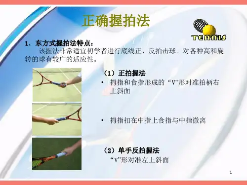 网球1PPT