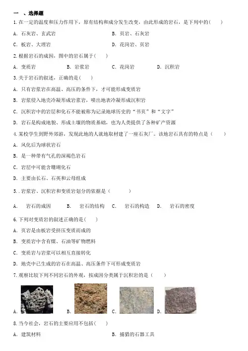 3.3组成地壳的岩石练习-浙教版七年级上册科学