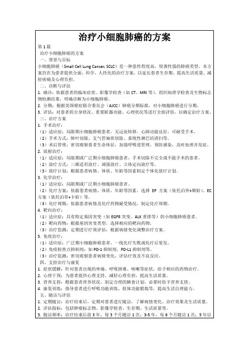 治疗小细胞肺癌的方案