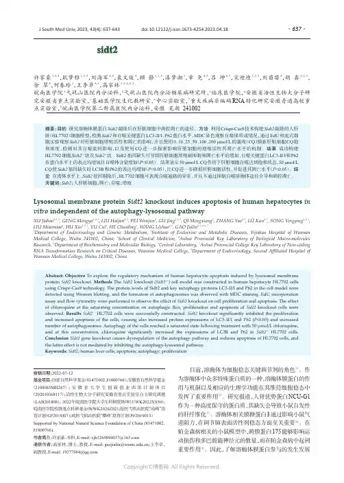 溶酶体膜蛋白sidt2不通过抑制自噬溶酶体途径介导细胞凋亡