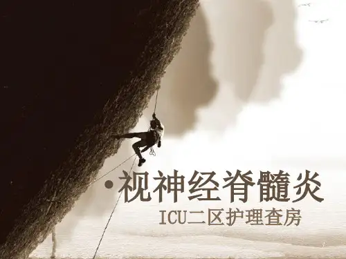 视神经脊髓炎护理查房 PPT课件