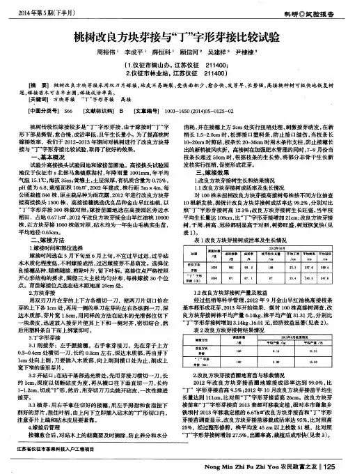 桃树改良方块芽接与“丁”字形芽接比较试验