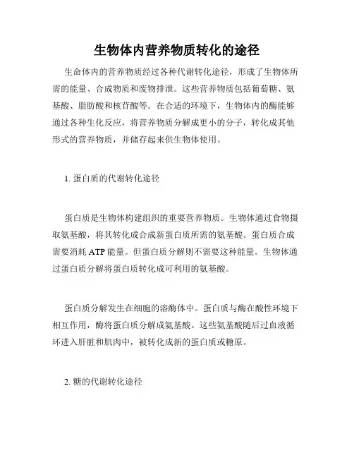 生物体内营养物质转化的途径