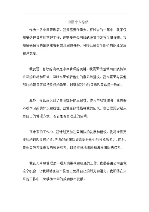 中层个人总结