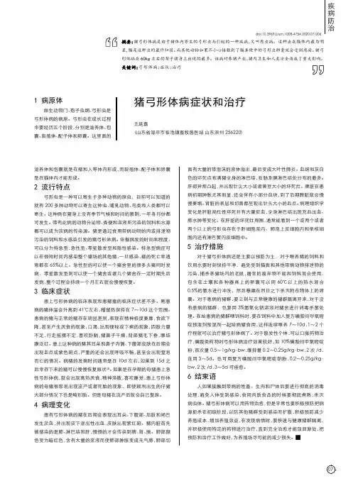 猪弓形体病症状和治疗