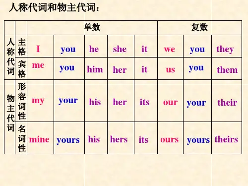 人称代词和物主代词讲解与练习