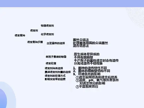 营养缺陷型菌株的筛选
