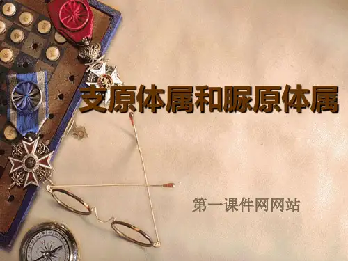 细菌学-支原体PPT优选课件