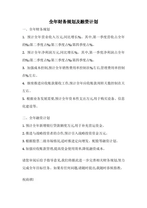 全年财务规划及融资计划