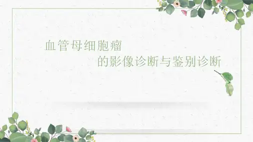 血管母细胞瘤的影像诊断与鉴别诊断