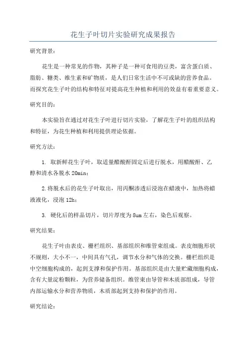 花生子叶切片实验研究成果报告