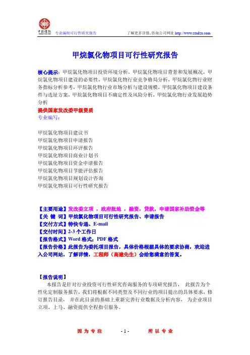 甲烷氯化物项目可行性研究报告