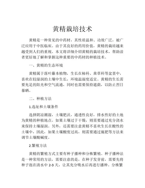 黄精栽培技术