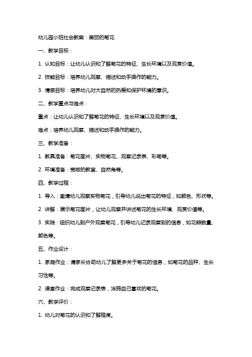幼儿园小班社会教案：美丽的菊花