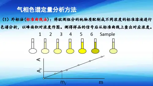 色谱分析—气相色谱(分析化学课件)