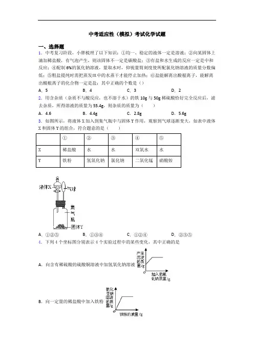 中考适应性(模拟)考试化学试题