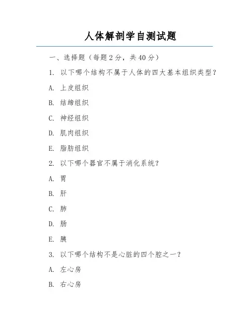 人体解剖学自测试题 