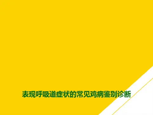 表现呼吸道症状的常见鸡病鉴别诊断(最全版)PTT文档