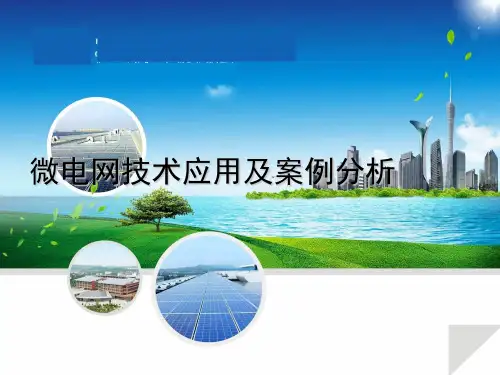 微电网技术应用及案例分析
