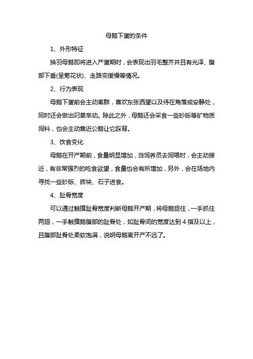 母鹅下蛋的条件