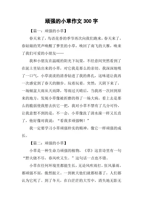 顽强的小草作文300字