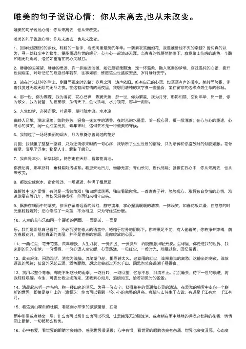 唯美的句子说说心情：你从未离去,也从未改变。