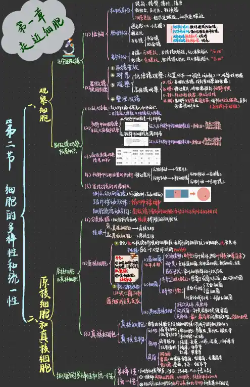 高中生物必修一第一章第二节 细胞的统一性和多样性(框架图)
