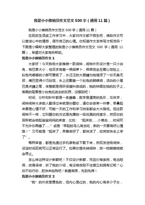 我是小小推销员作文范文500字（通用11篇）