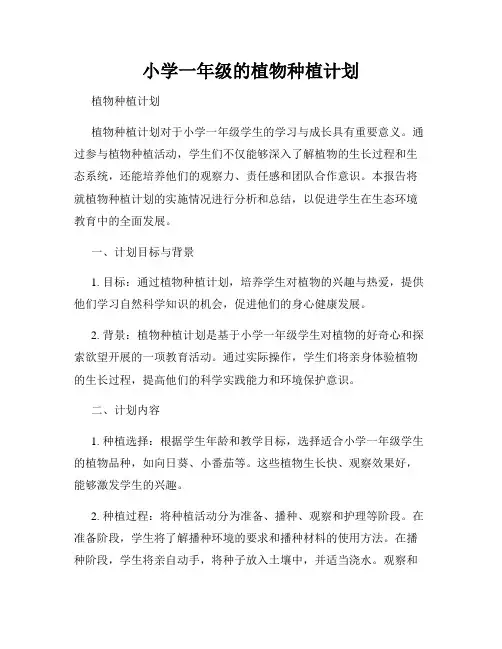 小学一年级的植物种植计划