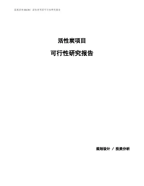 活性炭项目可行性研究报告