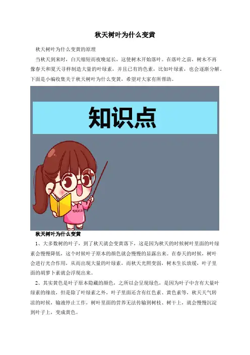 秋天树叶为什么变黄