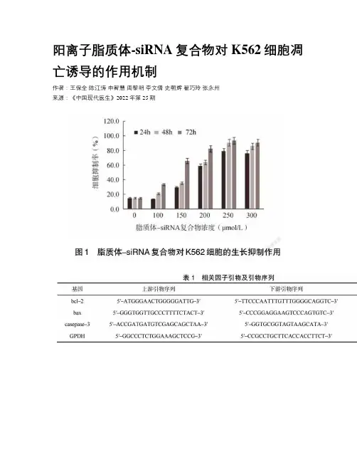 阳离子脂质体-siRNA复合物对K562细胞凋亡诱导的作用机制 
