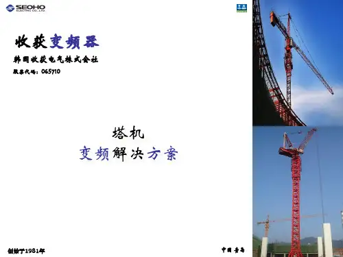 塔机变频-韩国收获SEOHO变频
